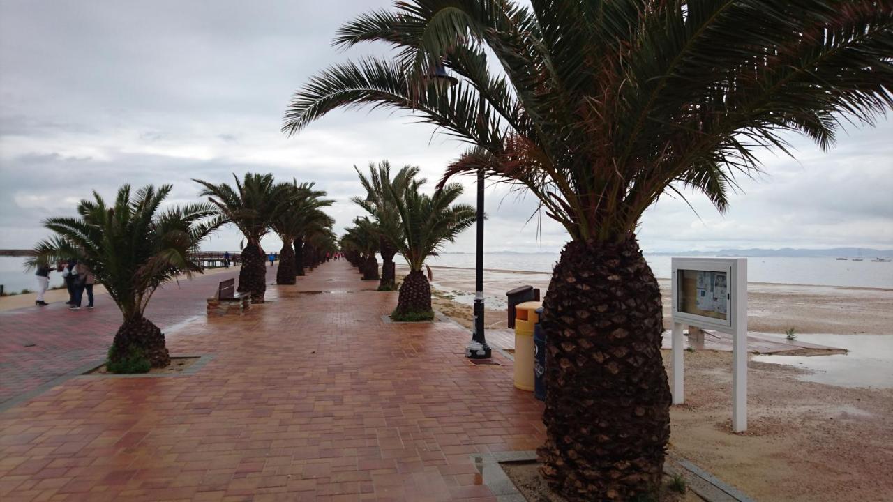 דירות סן פדרו דל פינטר El Molino De Viento Flat מראה חיצוני תמונה